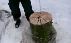 chopwood