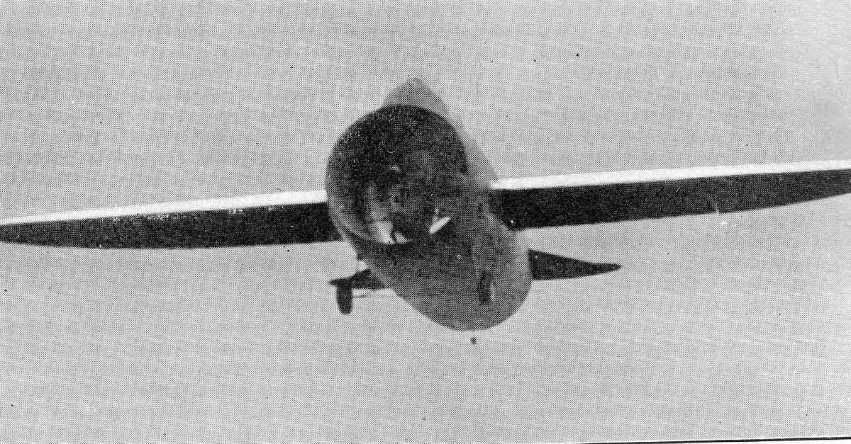Stipa_Caproni